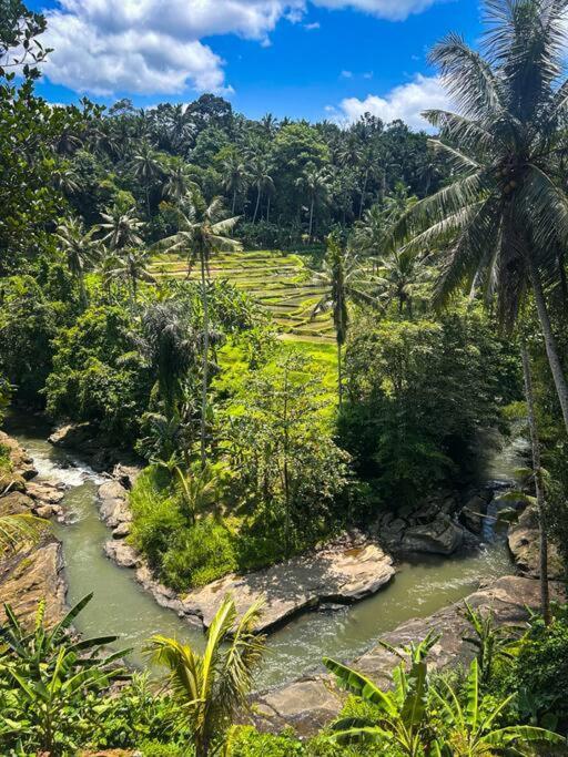 Ubud Riverside Villa Екстер'єр фото