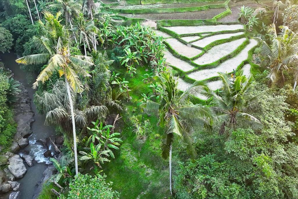 Ubud Riverside Villa Екстер'єр фото